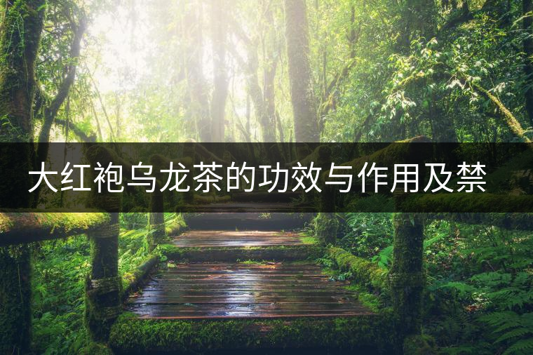 大紅袍烏龍茶的功效與作用及禁忌