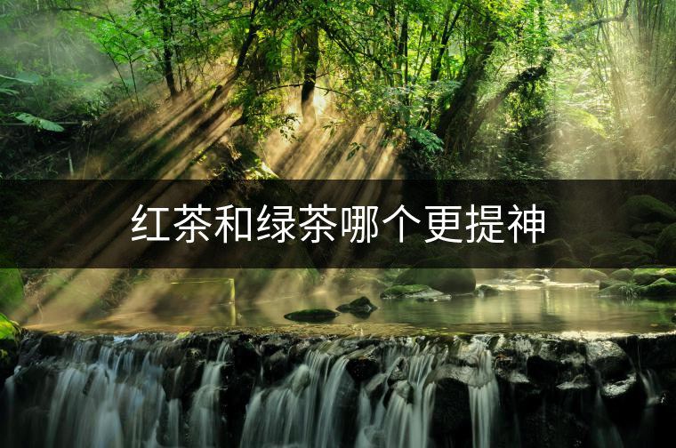 紅茶和綠茶哪個更提神