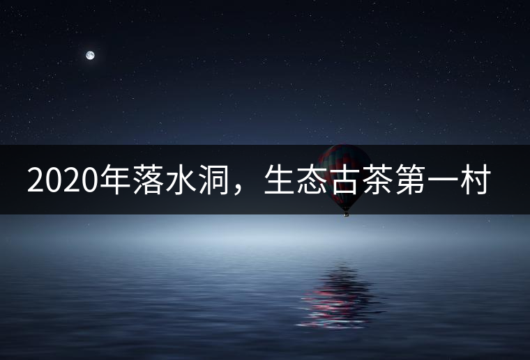 2020年落水洞，生態(tài)古茶第一村-易武中聘號
