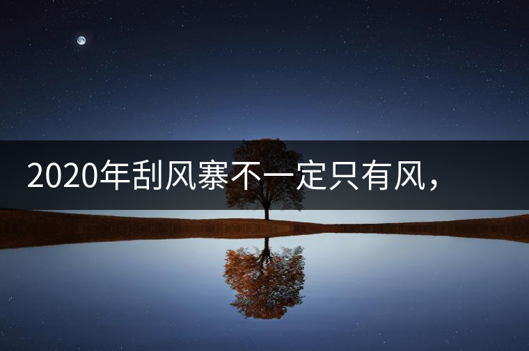 2020年刮風(fēng)寨不一定只有風(fēng)，但因茶而聲“鳴”天下-易武中聘號(hào)