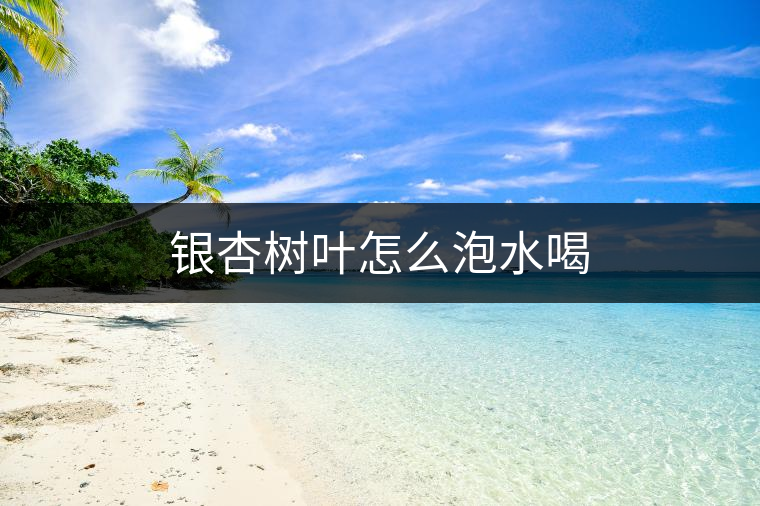 銀杏樹葉怎么泡水喝