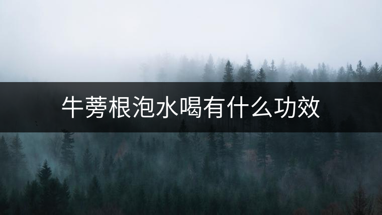 牛蒡根泡水喝有什么功效