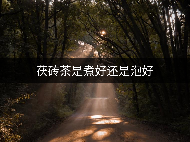 茯磚茶是煮好還是泡好