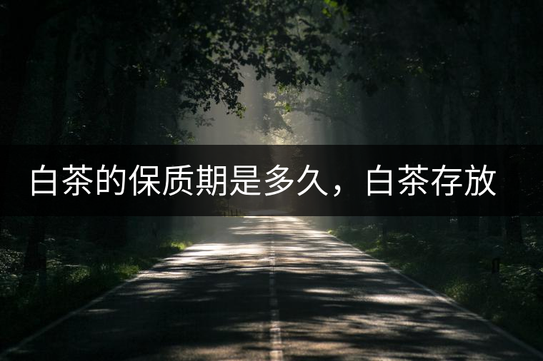白茶的保質(zhì)期是多久，白茶存放多長(zhǎng)時(shí)間好喝