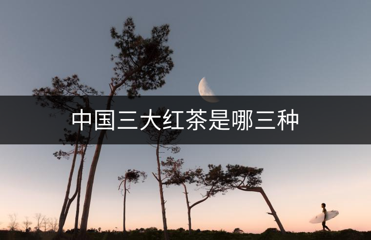 中國三大紅茶是哪三種