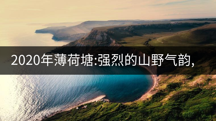 2020年薄荷塘:強(qiáng)烈的山野氣韻,源自易武