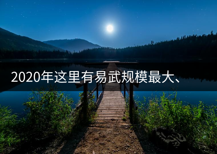 2020年這里有易武規(guī)模最大、保存最好的古樹茶林-易武中聘號(hào)