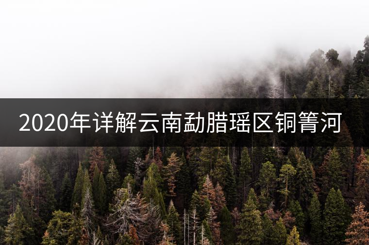 2020年詳解云南勐臘瑤區(qū)銅箐河普洱茶-易武中聘號