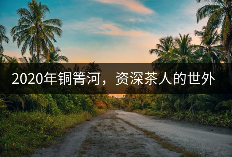 2020年銅箐河，資深茶人的世外桃源-易武-易武中聘號
