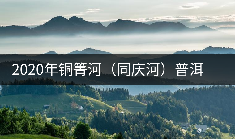 2020年銅箐河（同慶河）普洱茶，野味真難尋！-易武中聘號