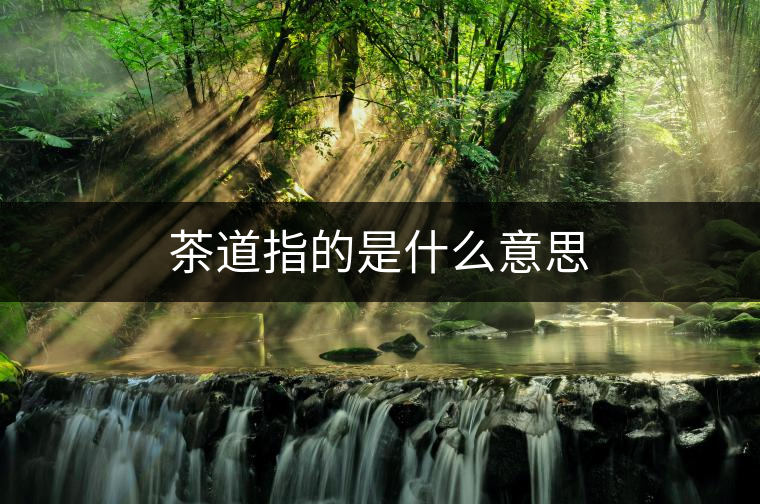 茶道指的是什么意思