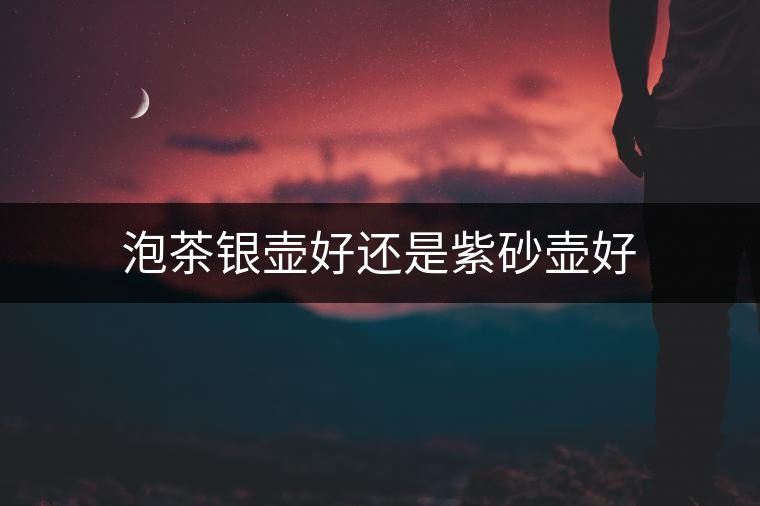 泡茶銀壺好還是紫砂壺好