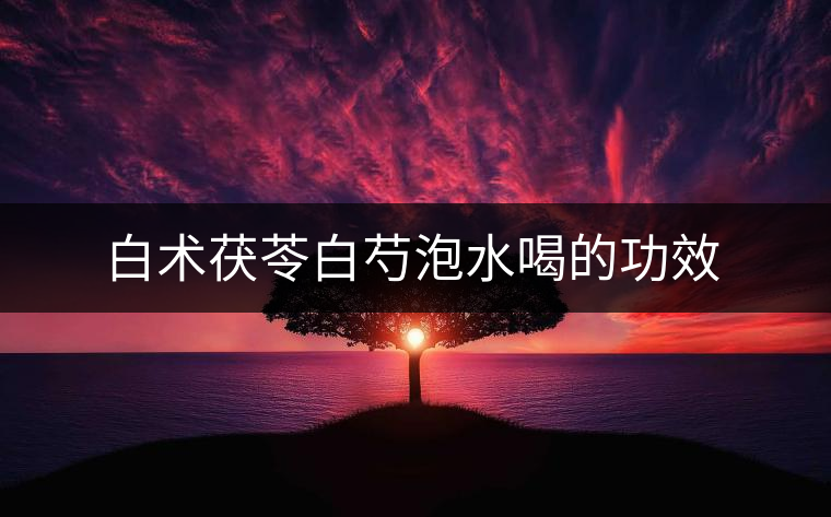 白術(shù)茯苓白芍泡水喝的功效 白術(shù)茯苓白芍泡水喝的功效