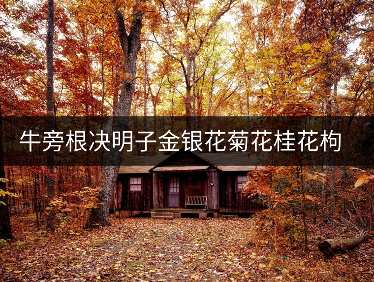 牛旁根決明子金銀花菊花桂花枸杞茶可以去口臭么