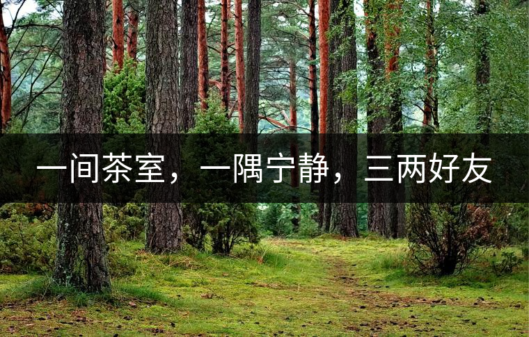 一間茶室，一隅寧靜，三兩好友