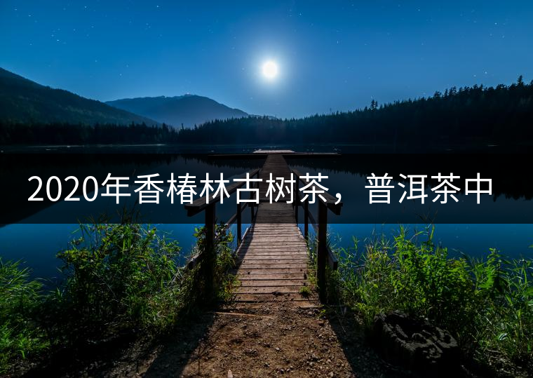 2020年香椿林古樹茶，普洱茶中的油膩大叔-易武中聘號(hào)