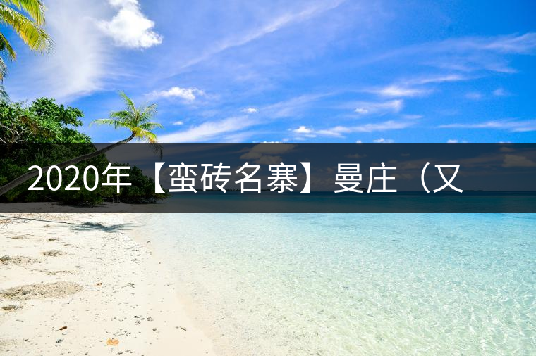 2020年【蠻磚名寨】曼莊（又作：蠻磚、曼磚）-易武中聘號