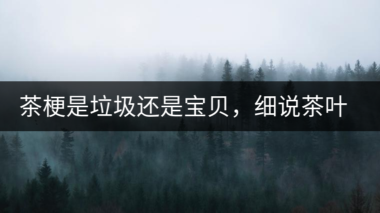 茶梗是垃圾還是寶貝，細(xì)說茶葉的那些梗