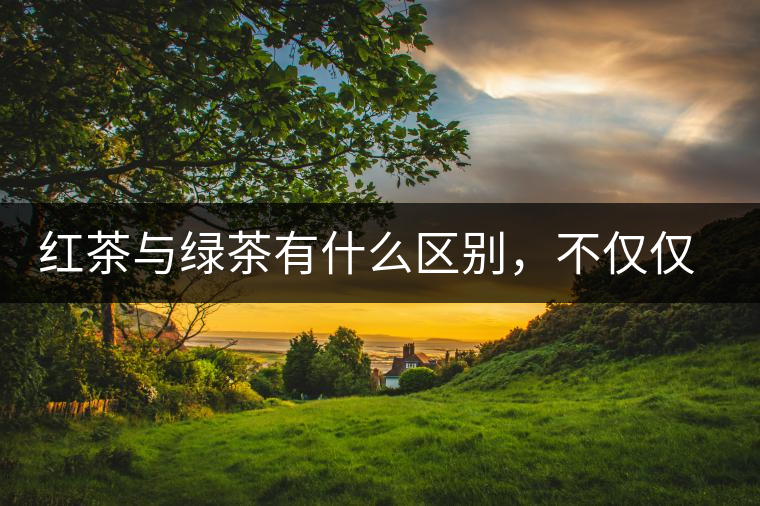 紅茶與綠茶有什么區(qū)別，不僅僅是顏色不同