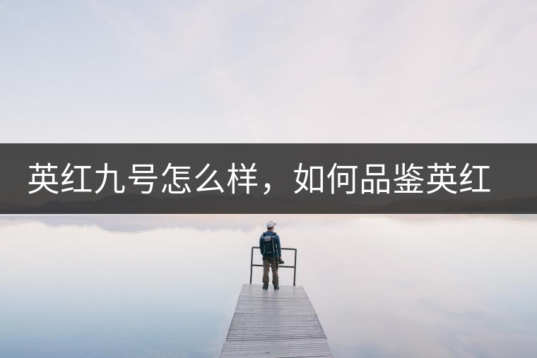 英紅九號(hào)怎么樣,如何品鑒英紅九號(hào)紅茶 英紅九號(hào)怎么樣,如何品鑒英紅九號(hào)紅茶