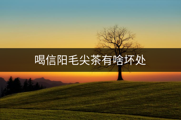喝信陽毛尖茶有啥壞處