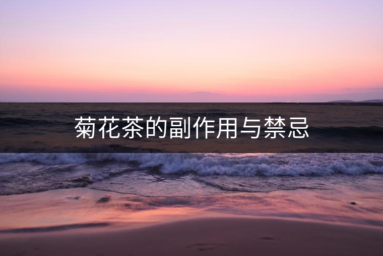 菊花茶的副作用與禁忌
