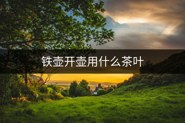 鐵壺開(kāi)壺用什么茶葉