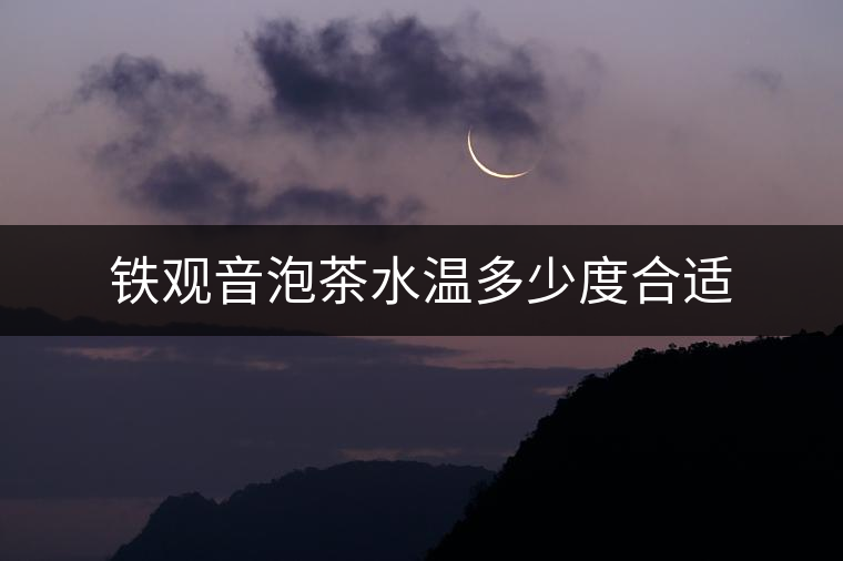 鐵觀音泡茶水溫多少度合適