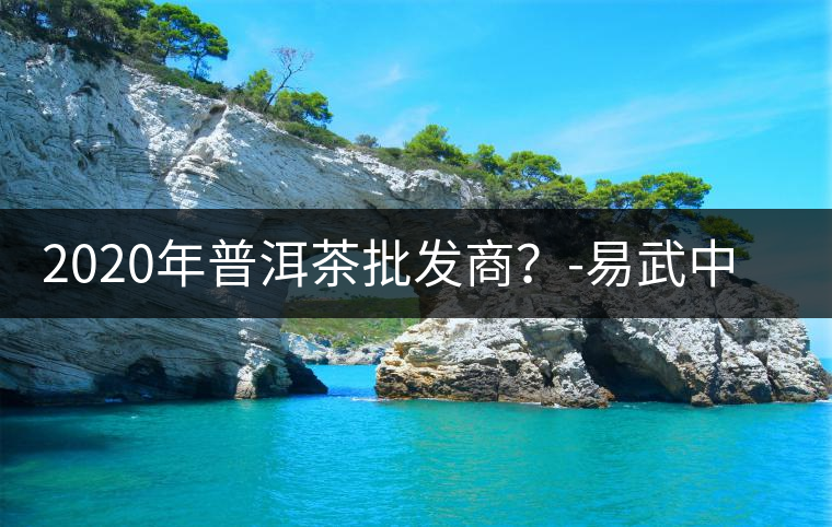 2020年普洱茶批發(fā)商？-易武中聘號
