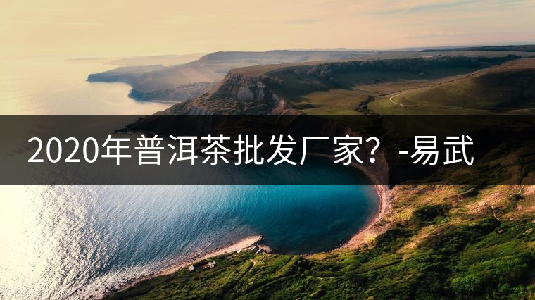 2020年普洱茶批發(fā)廠家？-易武中聘號(hào)