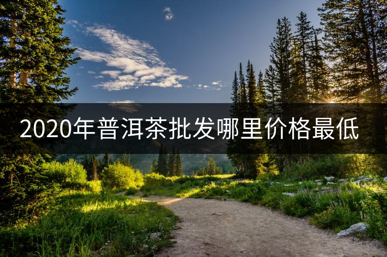2020年普洱茶批發(fā)哪里價(jià)格最低？-易武中聘號(hào)
