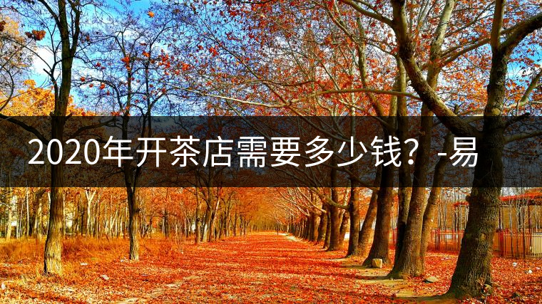 2020年開茶店需要多少錢？-易武中聘號