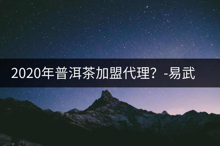 2020年普洱茶加盟代理？-易武中聘號