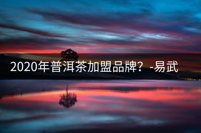 2020年普洱茶加盟品牌？-易武中聘號(hào)