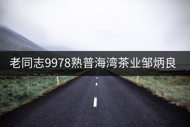 老同志9978熟普海灣茶業(yè)鄒炳良經(jīng)典配方云南普洱茶熟茶餅茶357g 老同志9978熟普海灣茶業(yè)鄒炳良經(jīng)典配方云南普洱茶熟茶餅茶357g