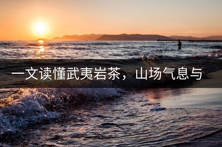 一文讀懂武夷巖茶，山場(chǎng)氣息與巖骨花香的天作之合