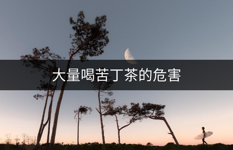 大量喝苦丁茶的危害