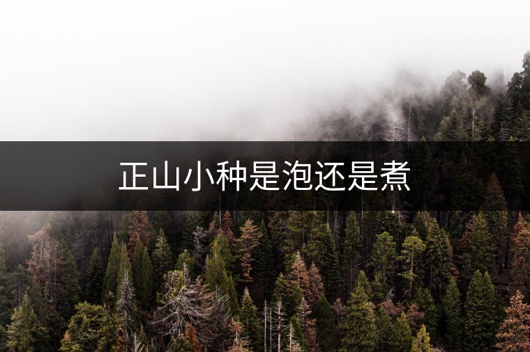 正山小種是泡還是煮