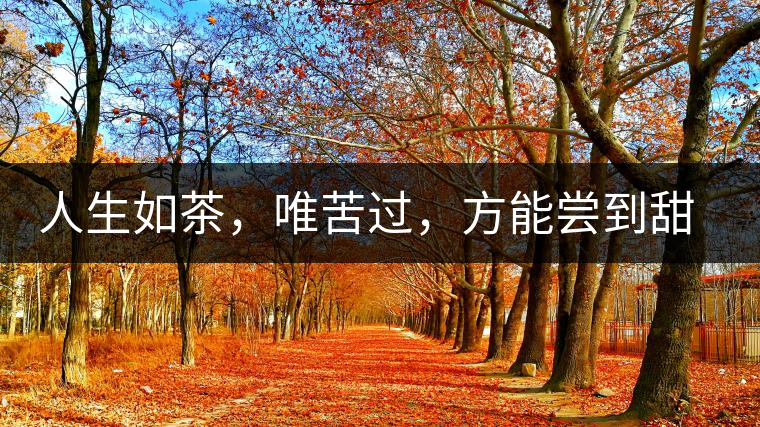 人生如茶，唯苦過，方能嘗到甜滋味