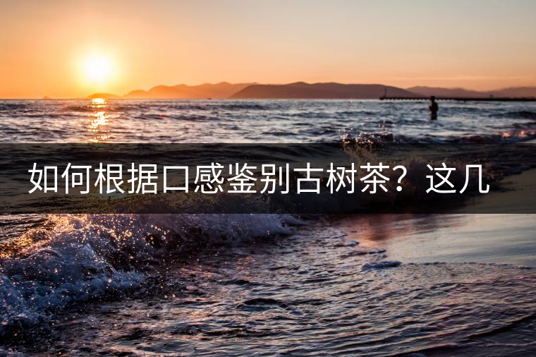 如何根據(jù)口感鑒別古樹茶？這幾個(gè)技巧值得收藏