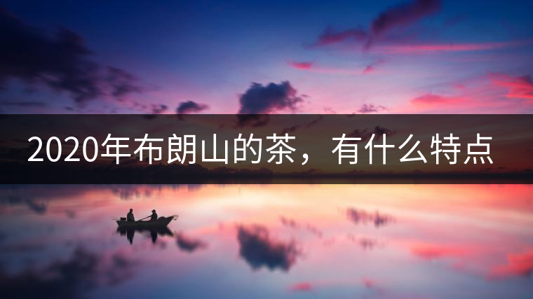 2020年布朗山的茶，有什么特點？-易武中聘號