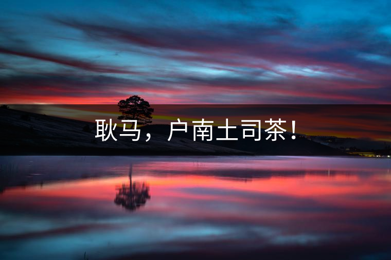耿馬，戶南土司茶！