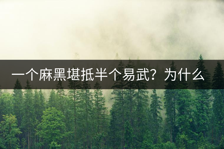 一個麻黑堪抵半個易武？為什么這么好喝？