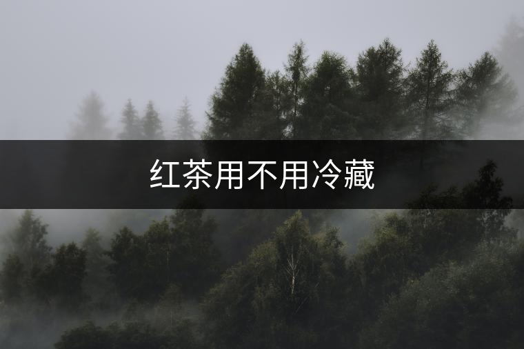 紅茶用不用冷藏