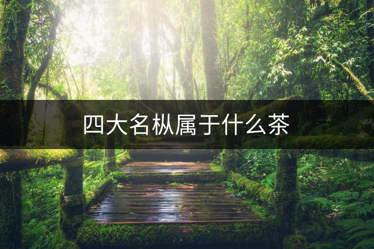 四大名樅屬于什么茶