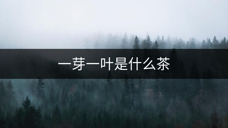 一芽一葉是什么茶