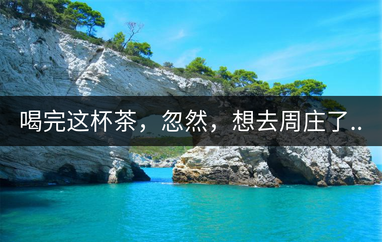 喝完這杯茶，忽然，想去周莊了...