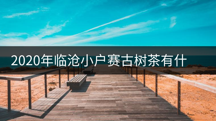 2020年臨滄小戶賽古樹(shù)茶有什么特點(diǎn)？因何被稱為“賽冰島”？-易武中聘號(hào)