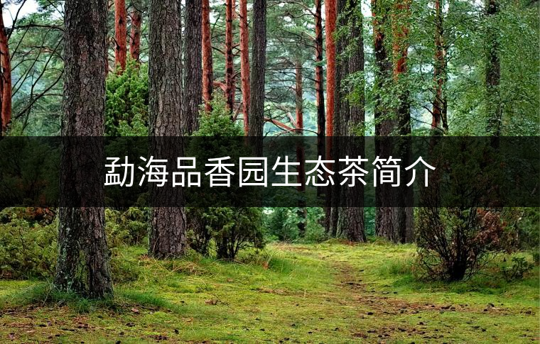勐海品香園生態(tài)茶簡介