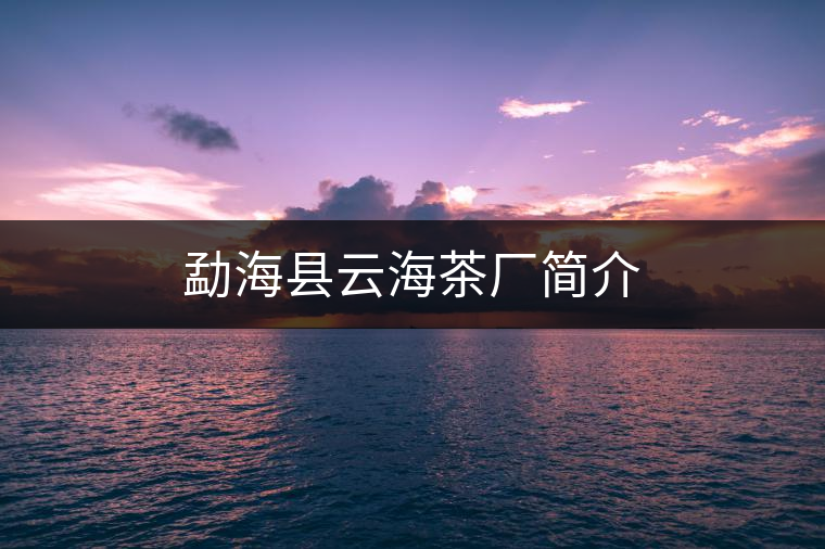 勐?？h云海茶廠簡介